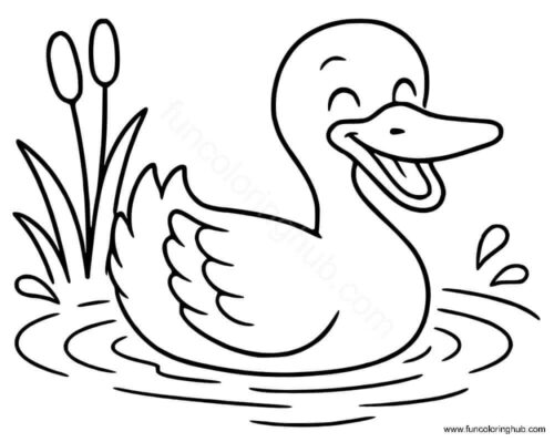 Duck swimming