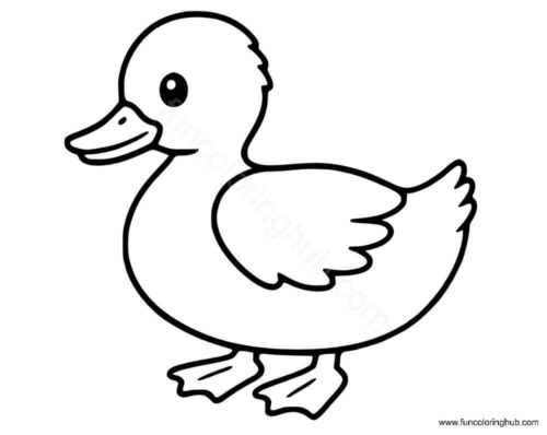 Duckling coloring page