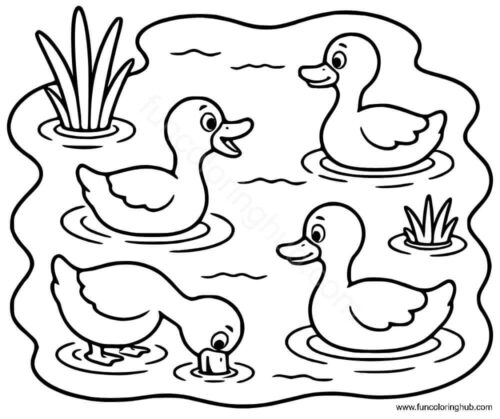 Ducks coloring sheets