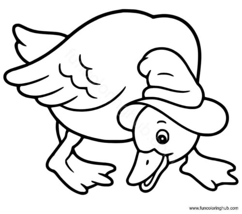Female duck coloring page