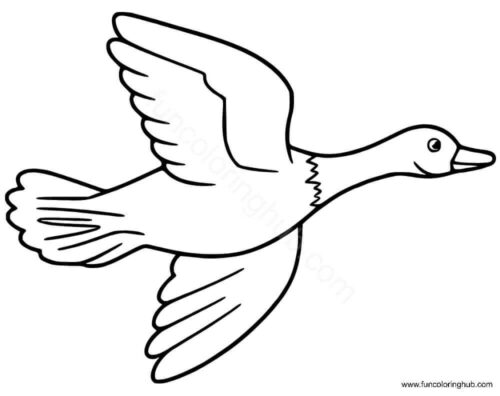 Flying Duck