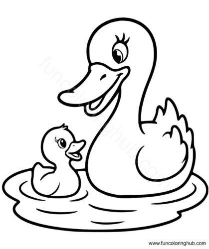 Mama duck swimming with baby duck