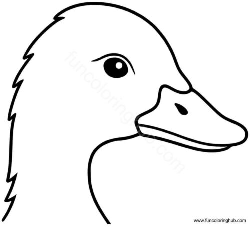 Realistic duck coloring pages