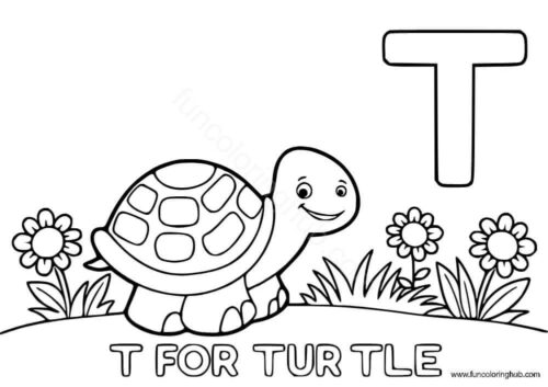 T for Turtle T for Turtle