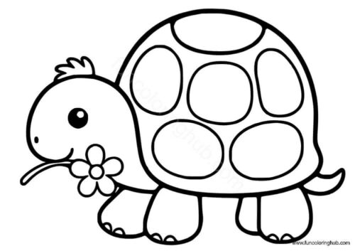 Turtle carrying a flower Turtle carrying a flower