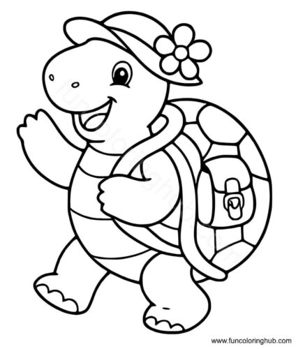 Turtle going to school Turtle going to school