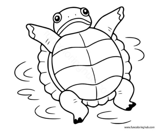 Turtle stretching Turtle stretching