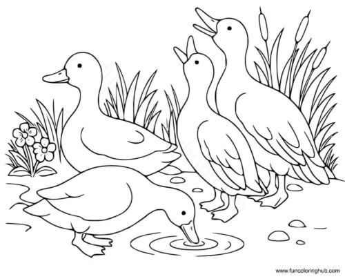 Wild duck coloring pages