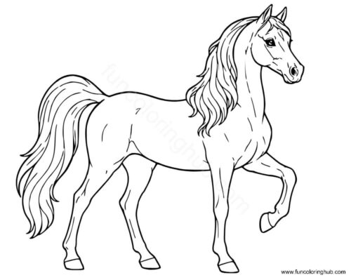 Arabian Horse Coloring Pag Arabian Horse Coloring Pag