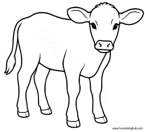 Baby Cow Coloring Page
