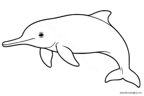 Baiji River Dolphin Baiji River Dolphin