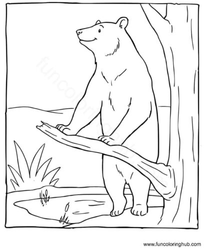 Bear coloring images Bear coloring images