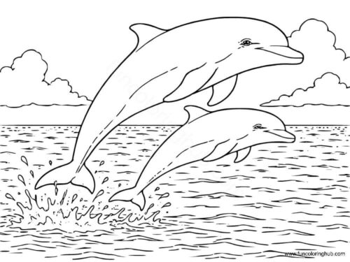 Bottlenose Dolphins Coloring Page Bottlenose Dolphins Coloring Page