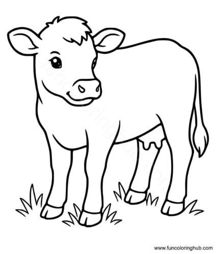 Calf Coloring Pages Printable