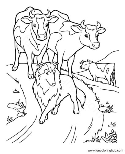 Coloring Page Of Cow