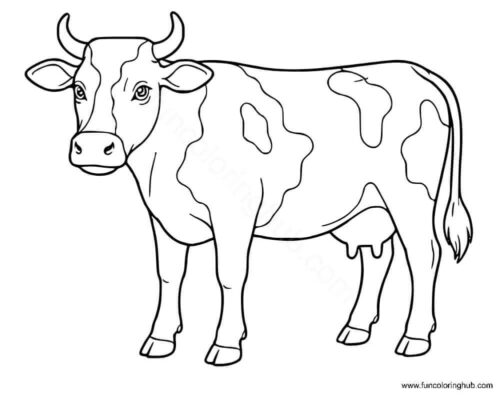 Cow Coloring Pages For Kids