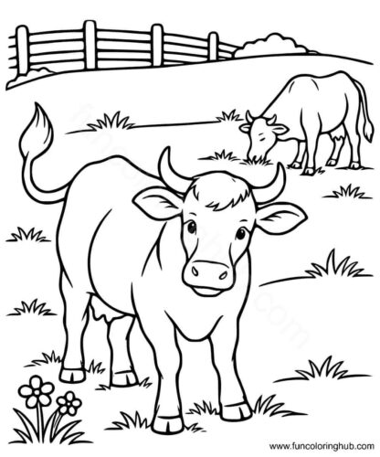 Cows Coloring Pages Printable