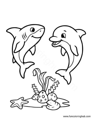 Dolphin Coloring Book Dolphin Coloring Book