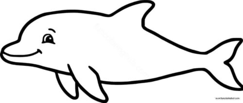 Dolphin Coloring Page For Preschoolers Dolphin Coloring Page For Preschoolers