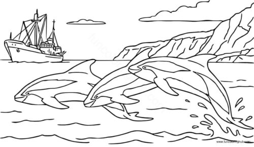 Dolphin Coloring Pictures To Print Dolphin Coloring Pictures To Print