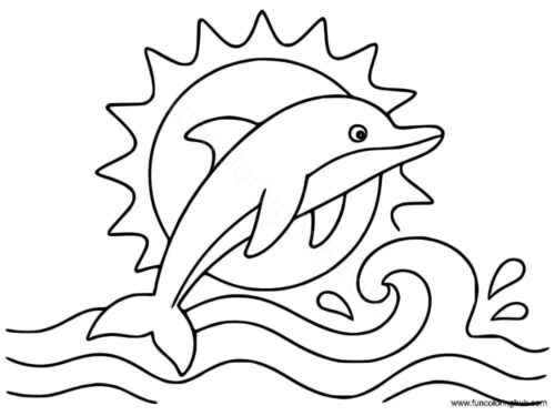 Dolphin Colouring Pages Dolphin Colouring Pages