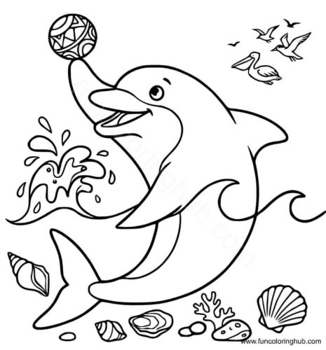Dolphin Playing With The Ball Dolphin Playing With The Ball