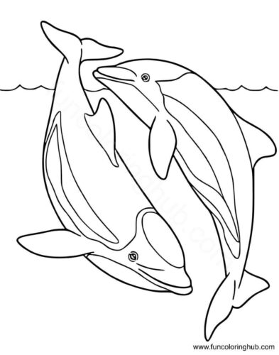 Dolphins In The Ocean Dolphins In The Ocean