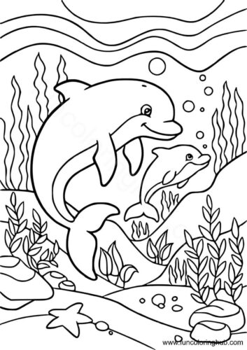 Free Dolphin Coloring Page Free Dolphin Coloring Page