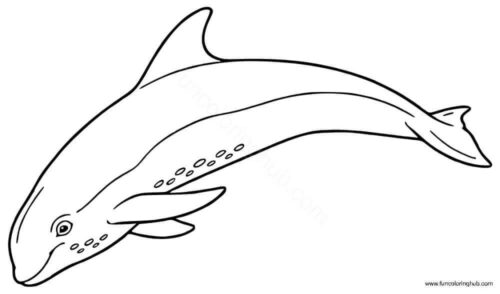 Free Printable Dolphin Coloring Page Free Printable Dolphin Coloring Page