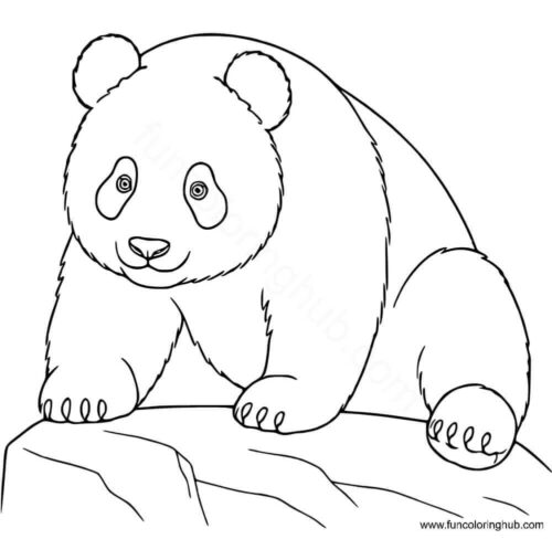 Giant Panda Coloring Page Giant Panda Coloring Page
