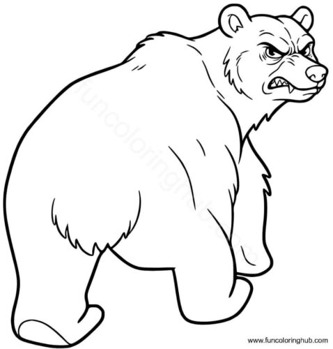 Grizzly bear looks angry Grizzly bear looks angry