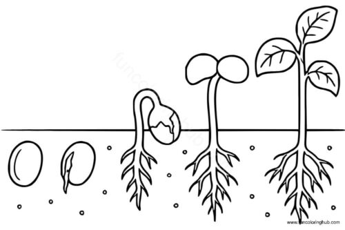 Growth Mindset Coloring Pages To Print Growth Mindset Coloring Pages To Print