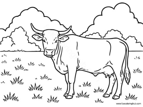 Horned Hereford Cow Coloring Page