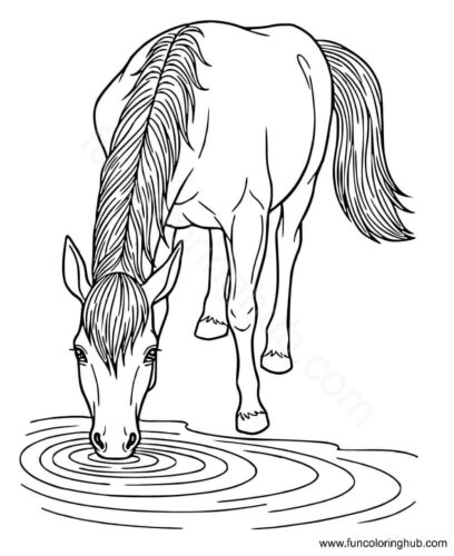 Horse Drinking Water Coloring Page Horse Drinking Water Coloring Page