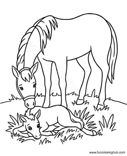 Horse and Foal Coloring Page Horse and Foal Coloring Page