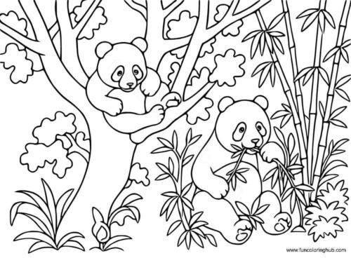 Panda In Forest Panda In Forest