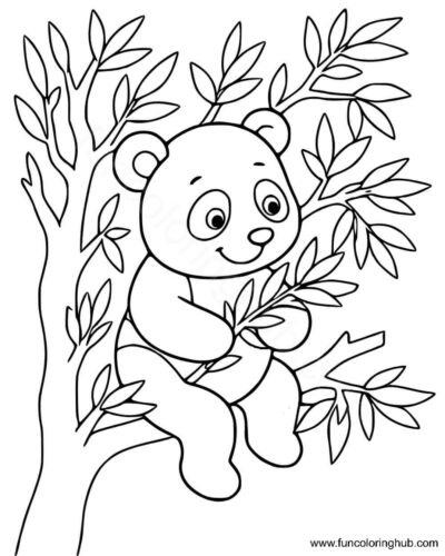 Panda On Tree Coloring Page Panda On Tree Coloring Page