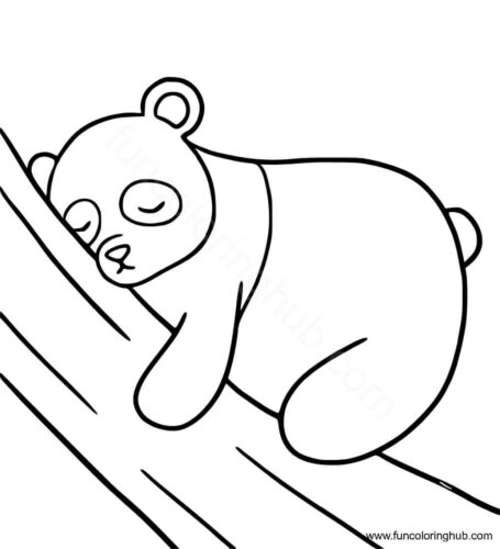 Panda Sleeping Panda Sleeping