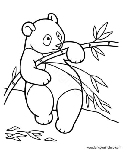 Panda Trying To Break A Bamboo Stick Panda Trying To Break A Bamboo Stick