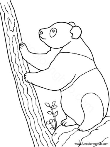 Panda Trying To Climb A Tree Panda Trying To Climb A Tree