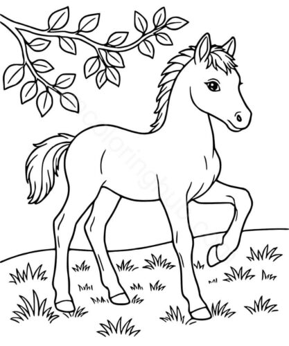 Pony Coloring Pages Printable Pony Coloring Pages Printable