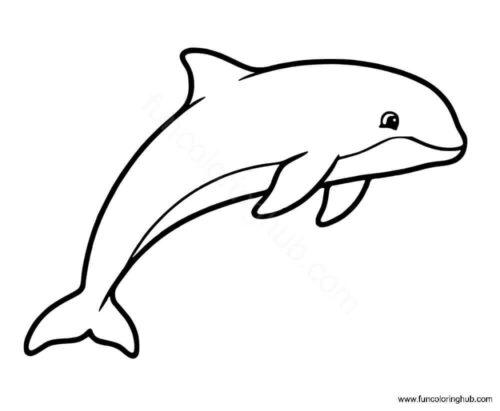 Porpoise Coloring Page Porpoise Coloring Page