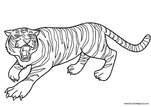 Printable Tiger Pictures Printable Tiger Pictures