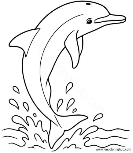 Realistic Dolphin Coloring Page Realistic Dolphin Coloring Page
