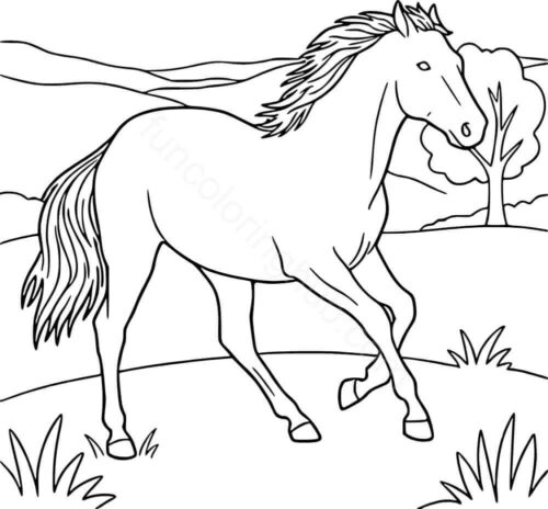 Realistic Horse Colouring Page Realistic Horse Colouring Page