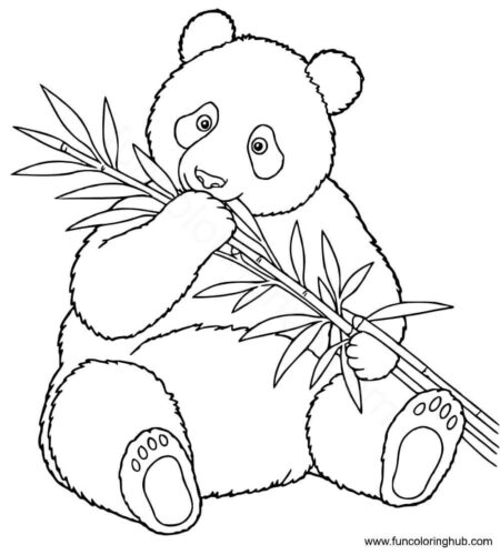 Realistic Panda Coloring Page Realistic Panda Coloring Page
