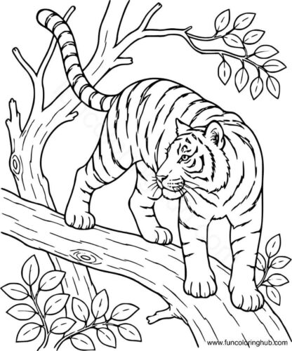 Realistic Tiger coloring page Realistic Tiger coloring page