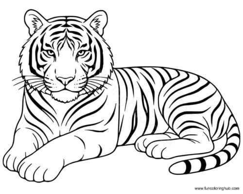 Sumatran Tiger coloring page Sumatran Tiger coloring page