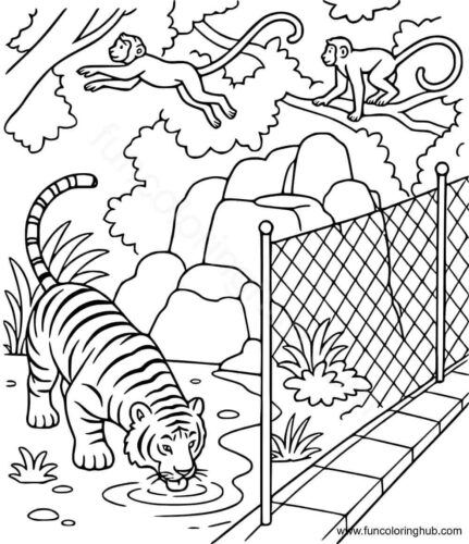 Tiger In Zoo coloring page Tiger In Zoo coloring page