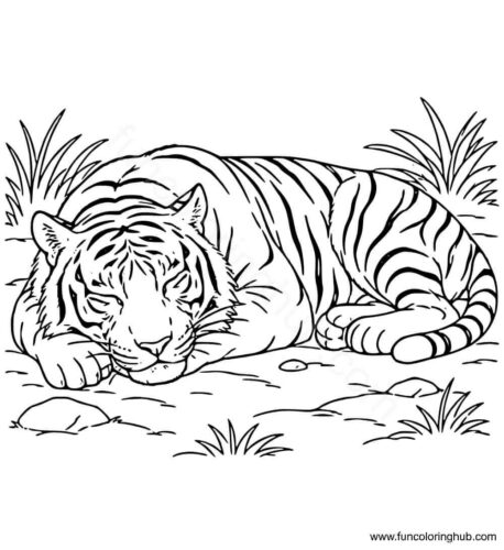 Tiger Resting in Forest coloring page Tiger Resting in Forest coloring page